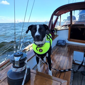 Julianne DeGraw Fettus